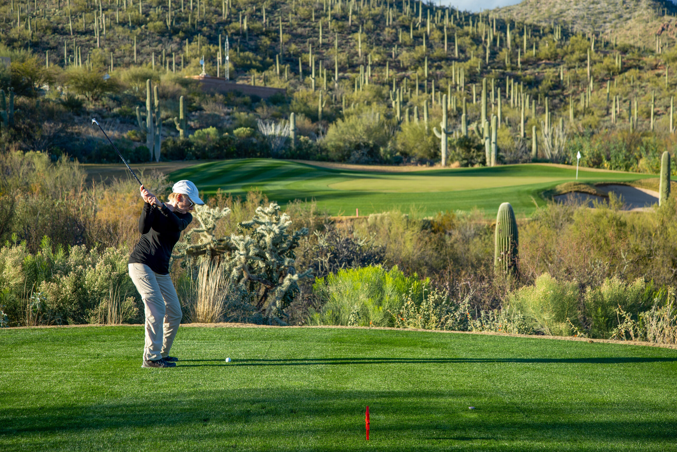 Golfer teeing off on a desert golf course lined with saguaros in Tucson, Arizona