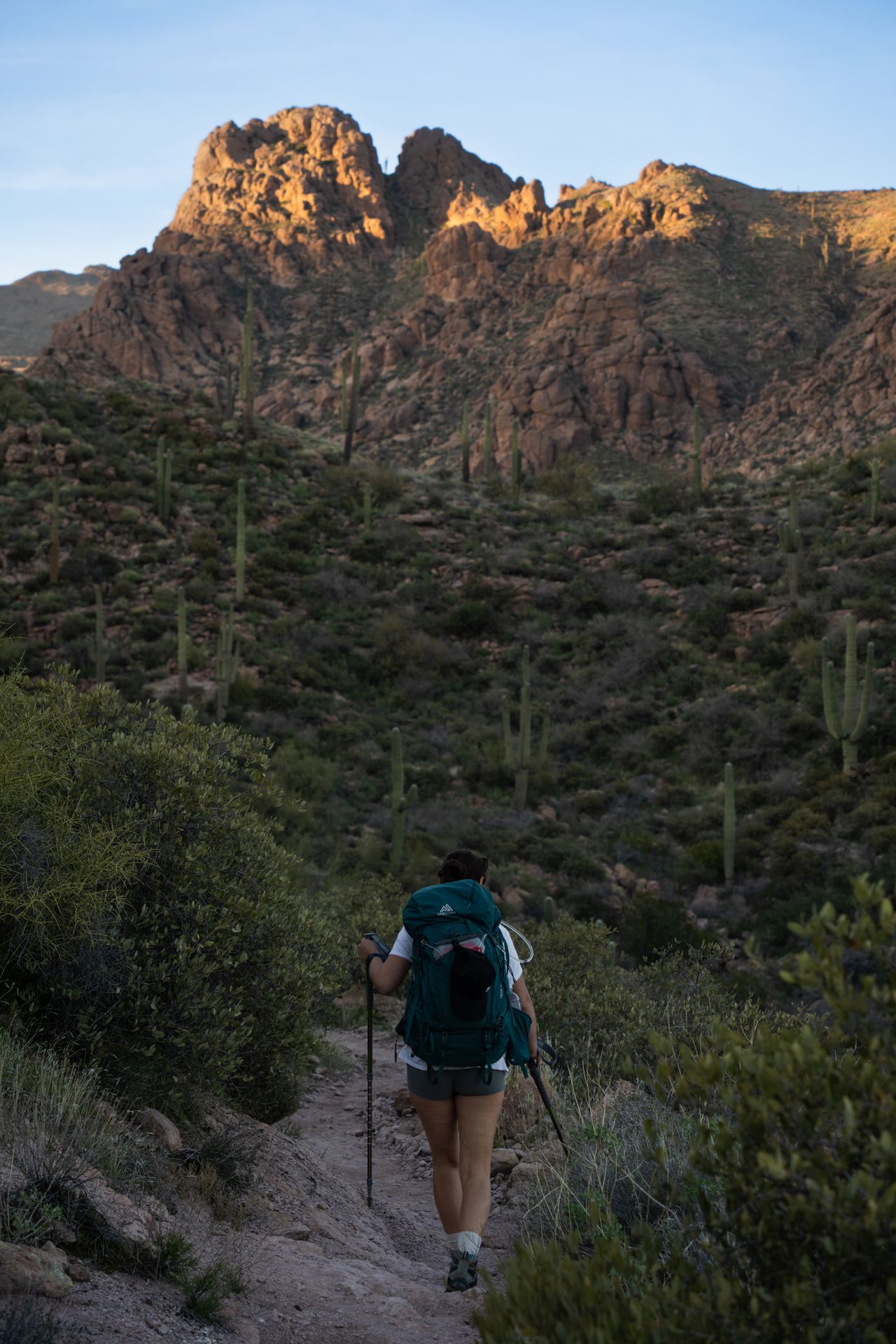 Hiker on a saguaro-lined desert trail beneath rugged peaks at sunset
