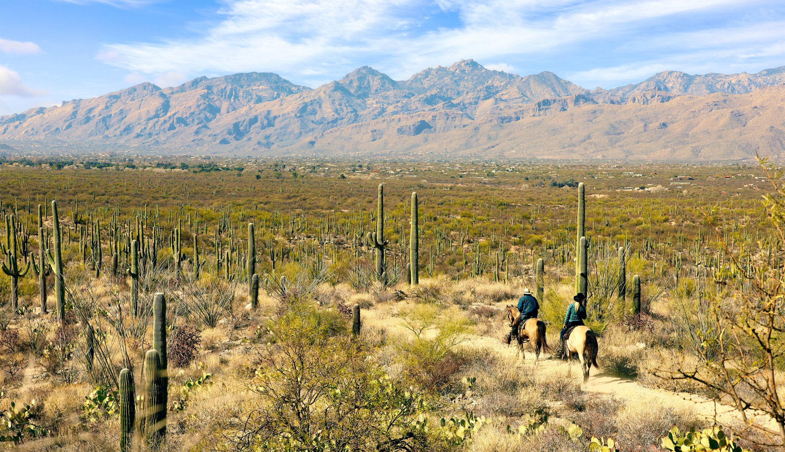 Horseback riders on a trail in Saguaro National Park, Tucson, Arizona