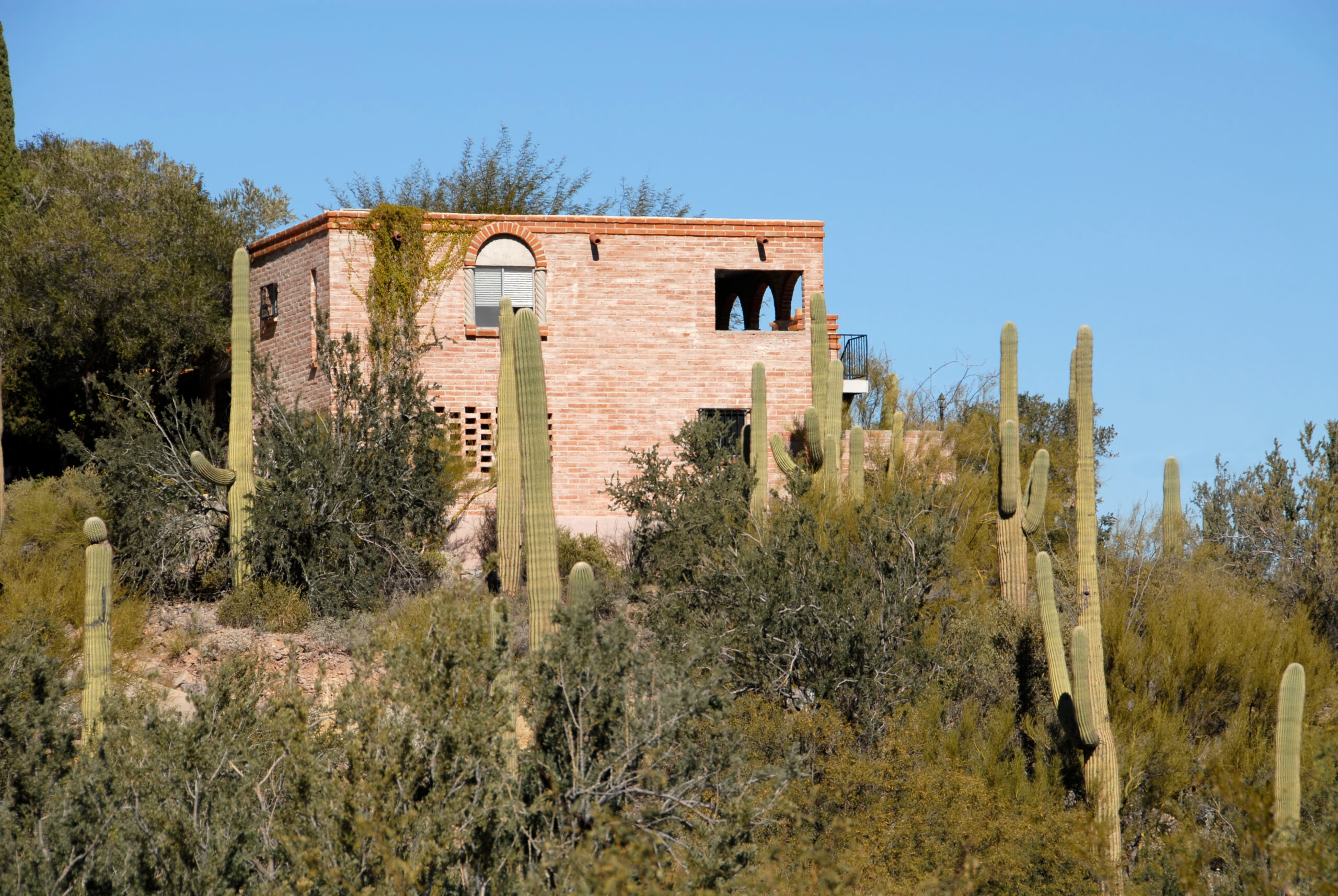 Brick desert home on a hillside surrounded by saguaro cactus in Tucson, Arizona